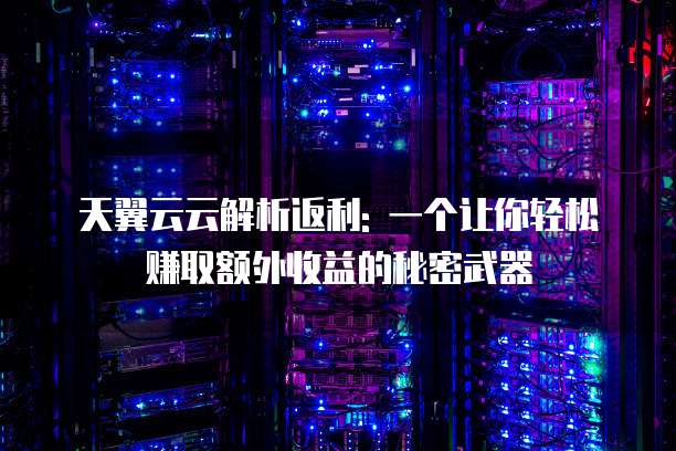 天翼云云解析返利: 一个让你轻松赚取额外收益的秘密武器