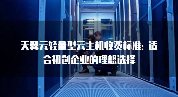 天翼云轻量型云主机收费标准: 适合初创企业的理想选择