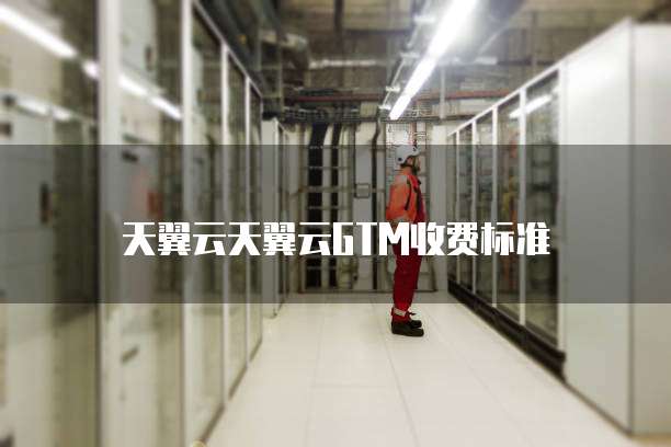 天翼云天翼云GTM收费标准
