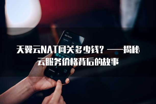 天翼云NAT网关多少钱?——揭秘云服务价格背后的故事