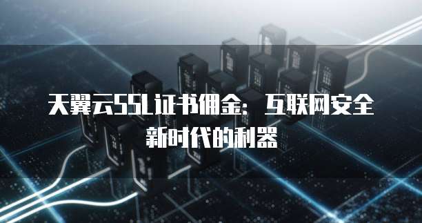 天翼云SSL证书佣金:互联网安全新时代的利器