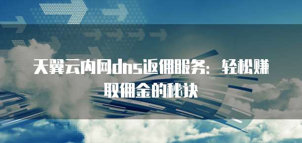 天翼云内网dns返佣服务:轻松赚取佣金的秘诀