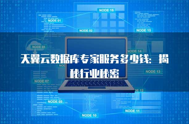 天翼云数据库专家服务多少钱:揭秘行业秘密
