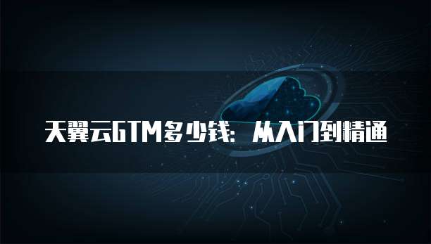 天翼云GTM多少钱:从入门到精通