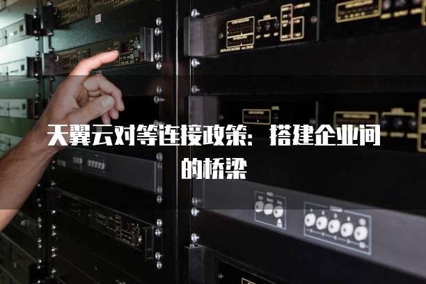 天翼云对等连接政策:搭建企业间的桥梁