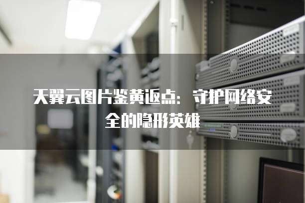 天翼云图片鉴黄返点:守护网络安全的隐形英雄