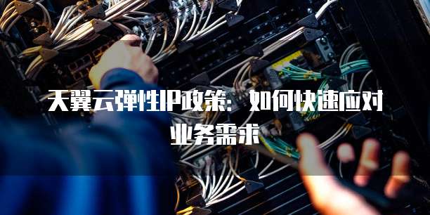 天翼云弹性IP政策:如何快速应对业务需求