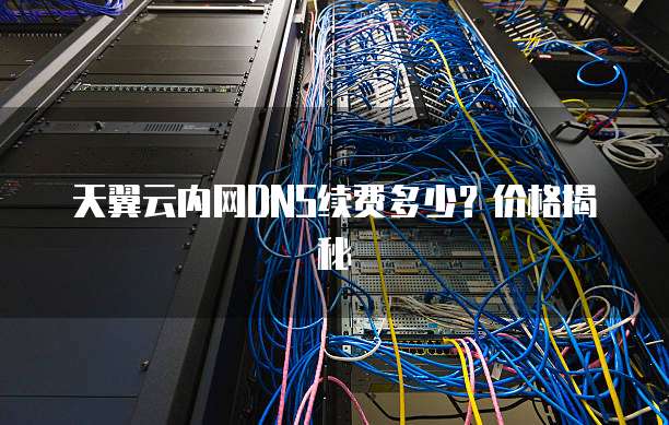 天翼云内网DNS续费多少?价格揭秘