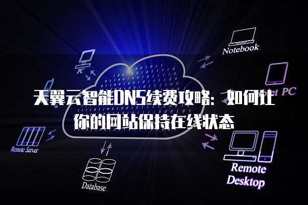 天翼云智能DNS续费攻略:如何让你的网站保持在线状态