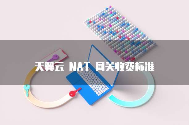 天翼云 NAT 网关收费标准