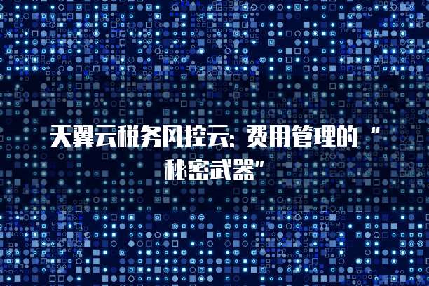 天翼云税务风控云: 费用管理的“秘密武器”
