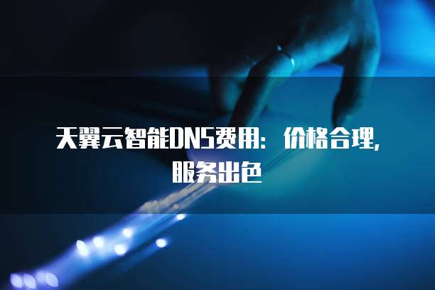 天翼云智能DNS费用：价格合理，服务出色