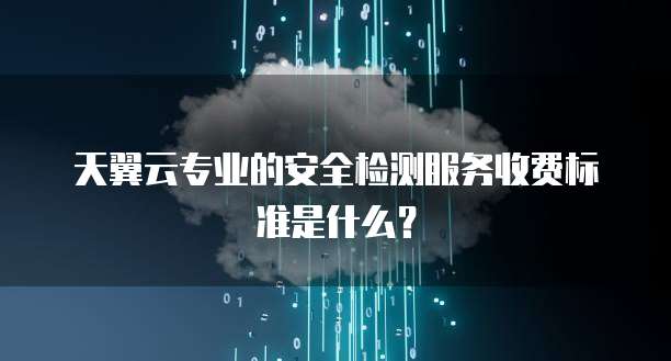 天翼云专业的安全检测服务收费标准是什么?