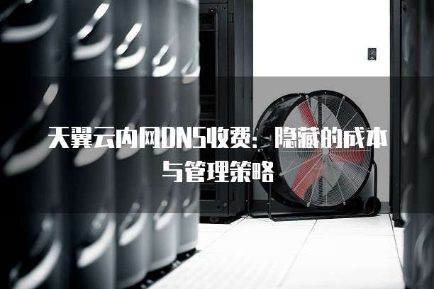 天翼云内网DNS收费：隐藏的成本与管理策略