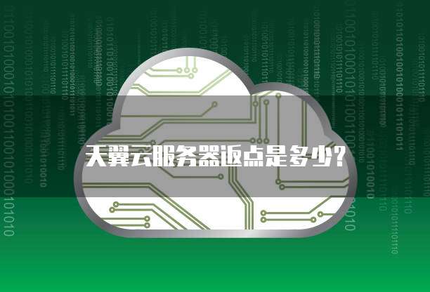 天翼云服务器返点是多少?