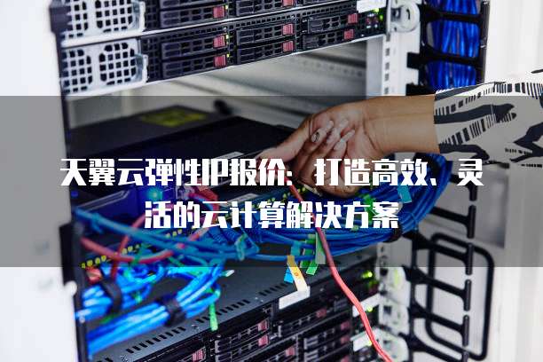 天翼云弹性IP报价：打造高效、灵活的云计算解决方案