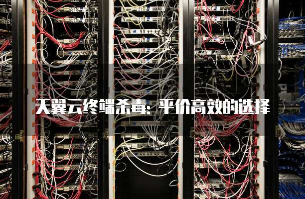 天翼云终端杀毒: 平价高效的选择