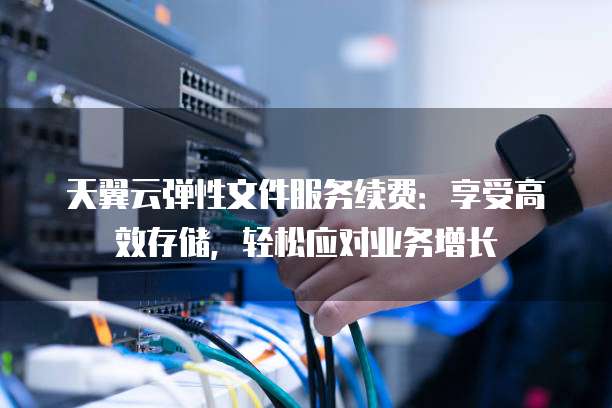 天翼云弹性文件服务续费:享受高效存储,轻松应对业务增长