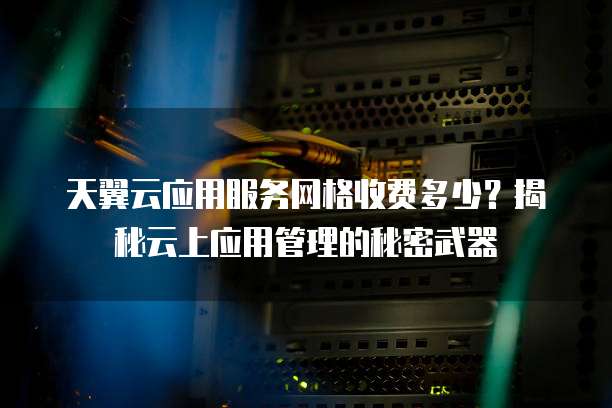 天翼云应用服务网格收费多少?揭秘云上应用管理的秘密武器