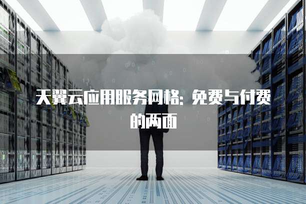 天翼云应用服务网格: 免费与付费的两面