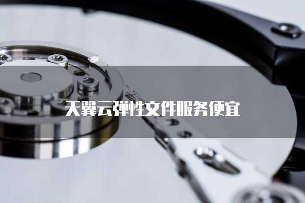 天翼云弹性文件服务便宜