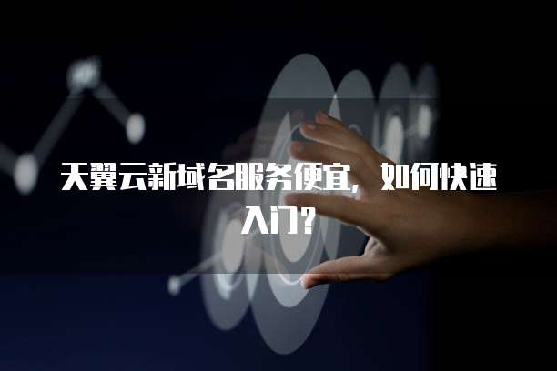 天翼云新域名服务便宜,如何快速入门?