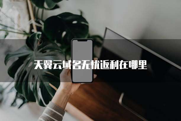 天翼云域名无忧返利在哪里