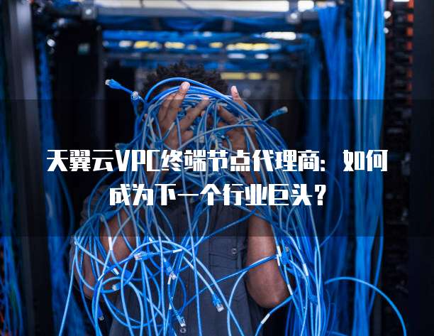 天翼云VPC终端节点代理商:如何成为下一个行业巨头?