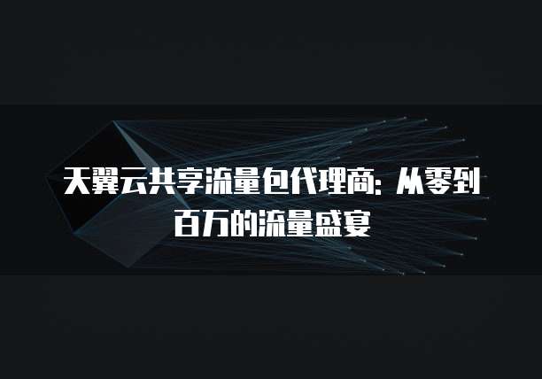 天翼云共享流量包代理商: 从零到百万的流量盛宴