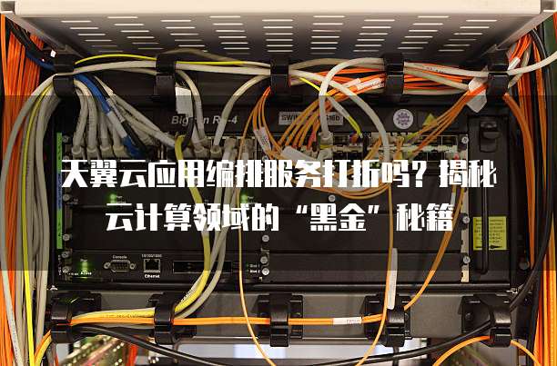 天翼云应用编排服务打折吗?揭秘云计算领域的“黑金”秘籍