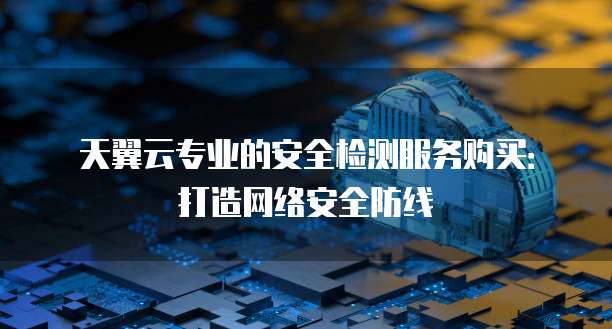 天翼云专业的安全检测服务购买：打造网络安全防线