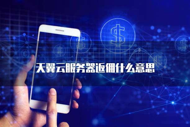 天翼云服务器返佣什么意思