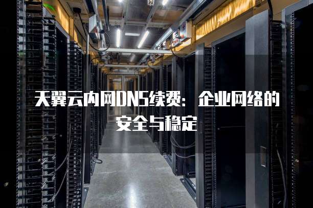 天翼云内网DNS续费:企业网络的安全与稳定