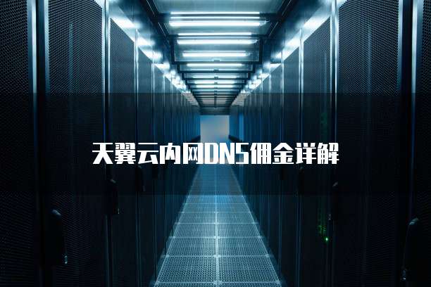 天翼云内网DNS佣金详解