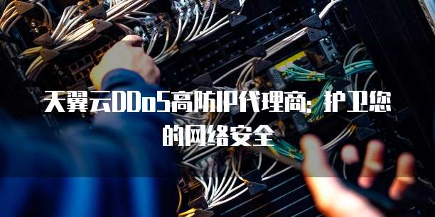 天翼云DDoS高防IP代理商: 护卫您的网络安全