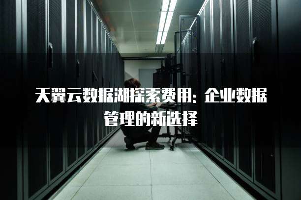 天翼云数据湖探索费用: 企业数据管理的新选择