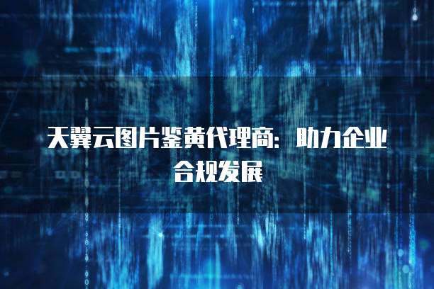 天翼云图片鉴黄代理商：助力企业合规发展