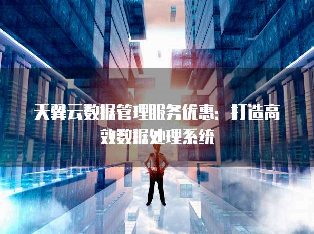 天翼云数据管理服务优惠：打造高效数据处理系统