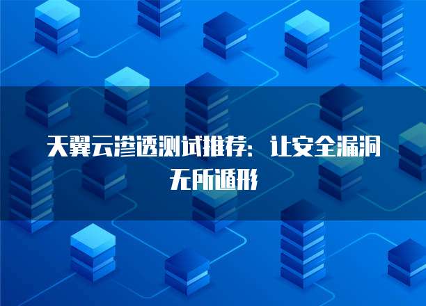 天翼云渗透测试推荐:让安全漏洞无所遁形