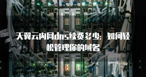 天翼云内网dns续费多少:如何轻松管理你的域名