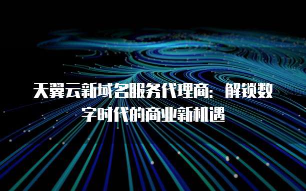 天翼云新域名服务代理商:解锁数字时代的商业新机遇