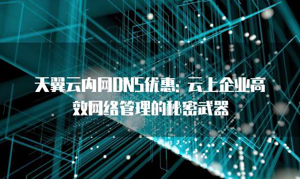 天翼云内网DNS优惠: 云上企业高效网络管理的秘密武器