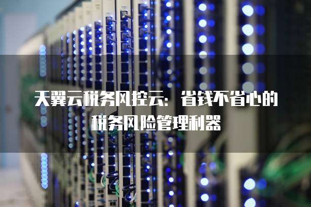 天翼云税务风控云:省钱不省心的税务风险管理利器