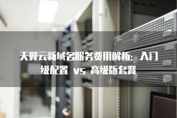 天翼云新域名服务费用解析:入门级配置 vs 高级版套餐