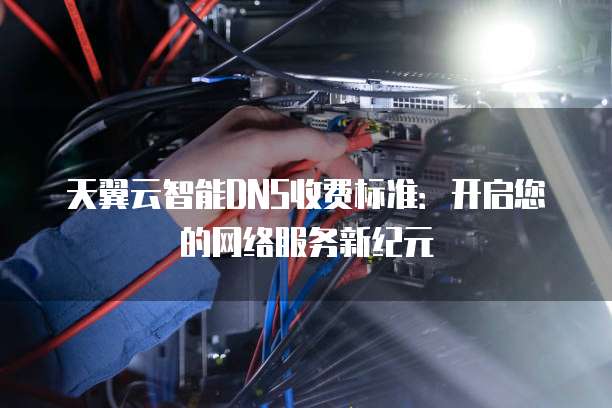 天翼云智能DNS收费标准:开启您的网络服务新纪元