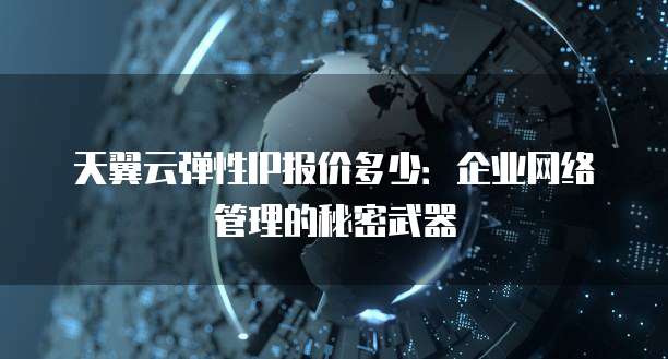 天翼云弹性IP报价多少:企业网络管理的秘密武器