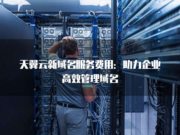 天翼云新域名服务费用:助力企业高效管理域名