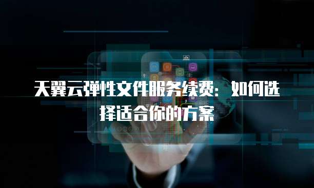天翼云弹性文件服务续费:如何选择适合你的方案