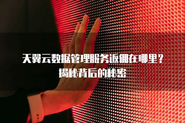 天翼云数据管理服务返佣在哪里？揭秘背后的秘密