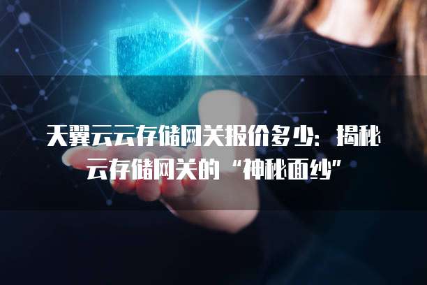 天翼云云存储网关报价多少:揭秘云存储网关的“神秘面纱”